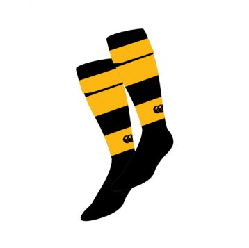 Frameries Unisex Club Match Socks